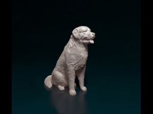 Bovaro del bernese sitting Model do druku 3D