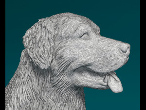 Bovaro del bernese sitting Model do druku 3D