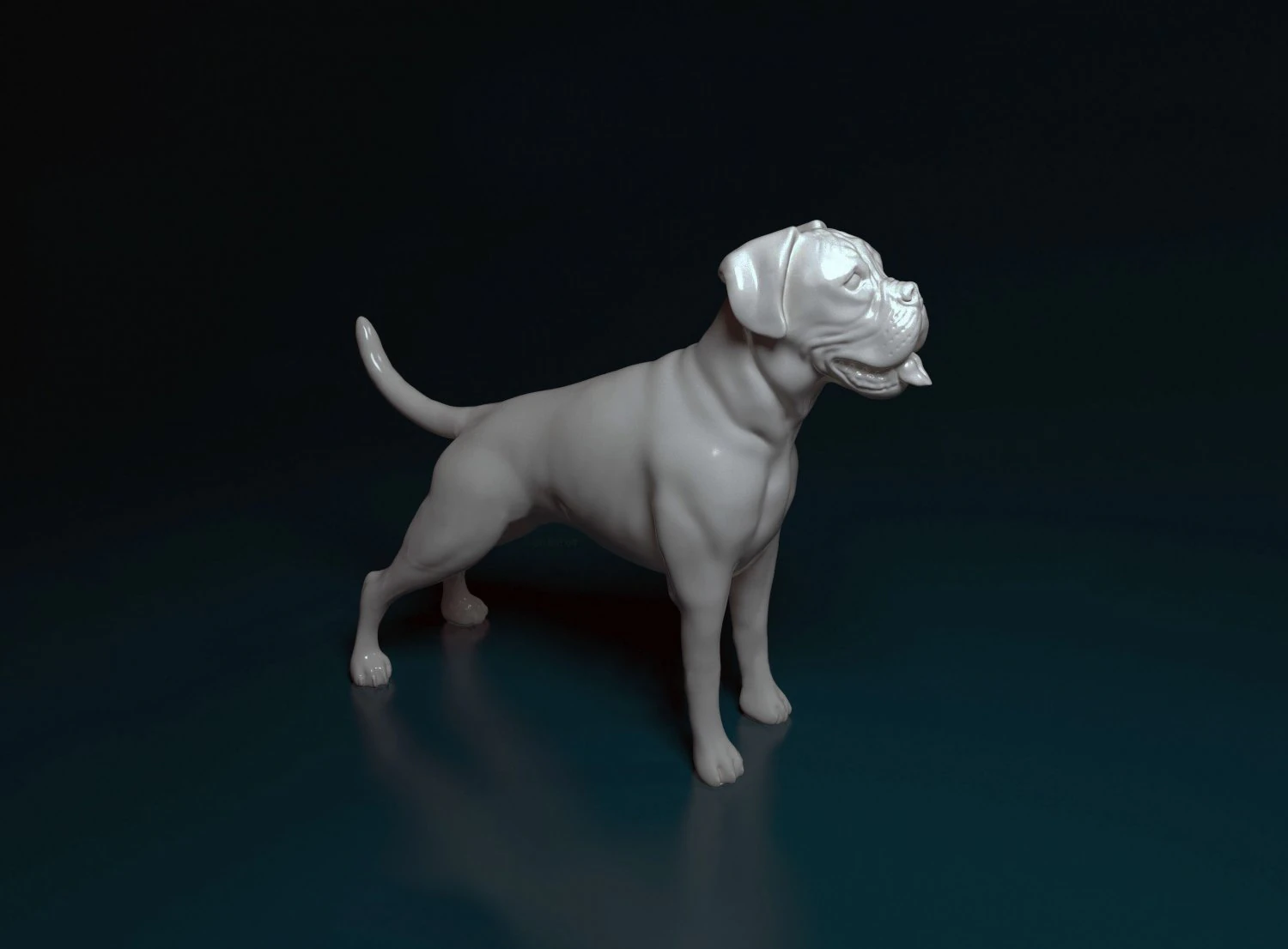 Boxer 3D Print Model .c4d .max .obj .3ds .fbx .stl .blend 