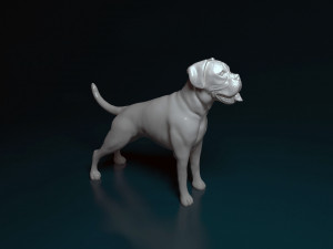 Boxer 3D Print Model