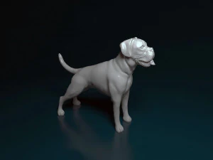 Boxer 3D Print Model