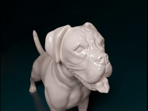 Boxer Modèles 3D en vedette