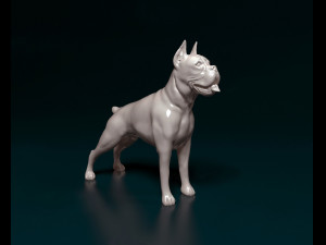 Boxer Modèles 3D en vedette