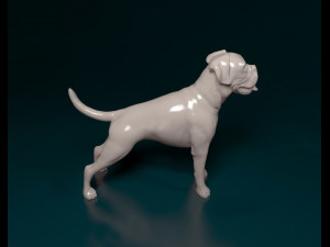 Boxer Modèles 3D en vedette