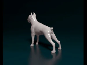 Boxer 3D Print Model