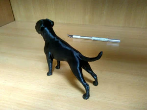 Boxer 3D Print Model