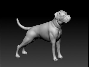 Boxer Modèles 3D en vedette
