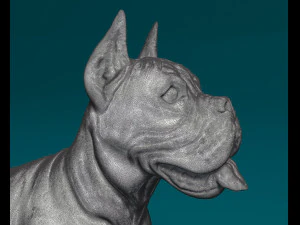 Boxer 3D Print Model