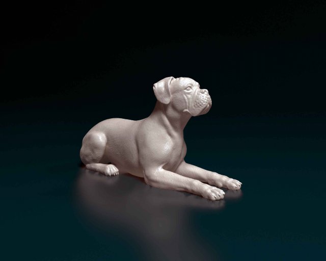 Boxer lying down Modelo de Impressão 3D .c4d .max .obj .3ds .fbx .stl .blend 