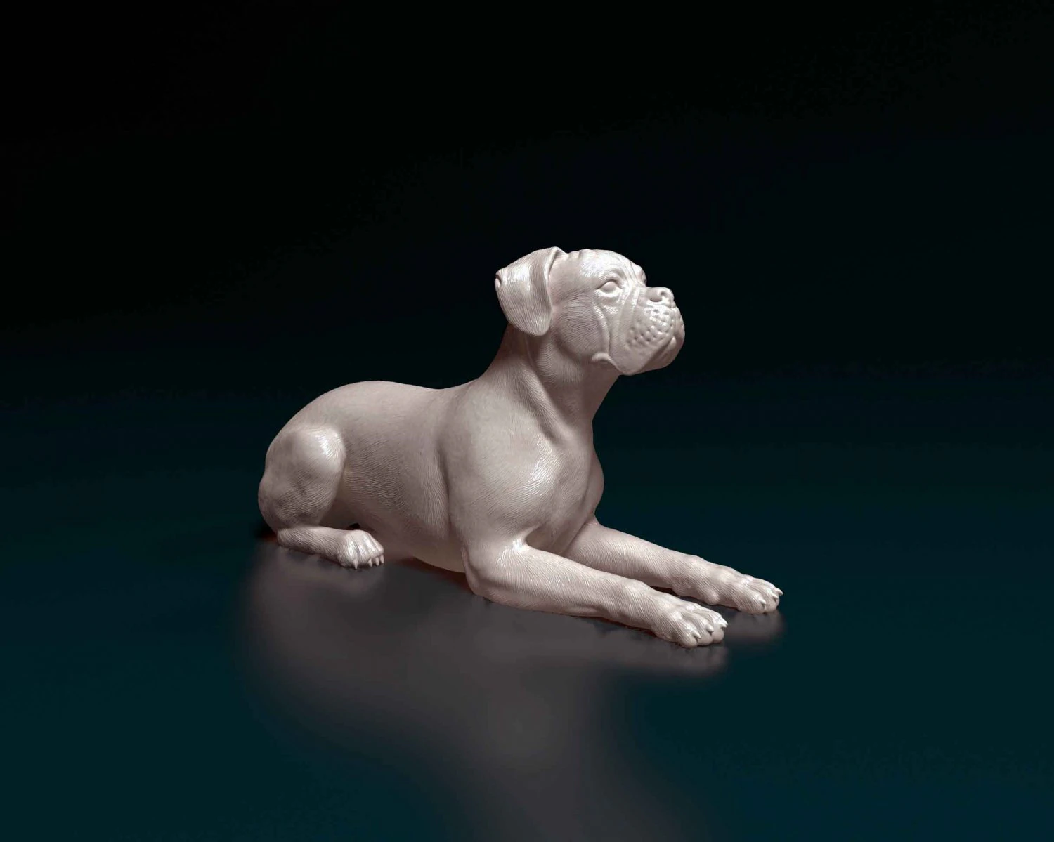 Boxer lying down 3D Print Model .c4d .max .obj .3ds .fbx .stl .blend 