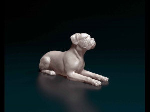 Boxer lying down 3D Print Model