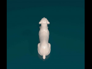 Boxer lying down Modelo de Impressão 3D