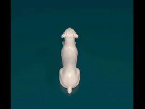 Boxer lying down 3D Print Model