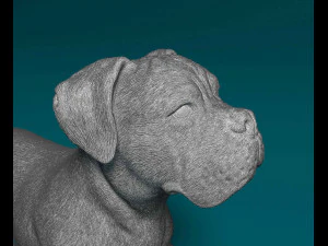 Boxer lying down 3D Print Model