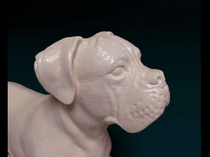 Boxer lying down 3D Print Model
