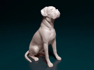 Boxer dog sitting 3D Print Model