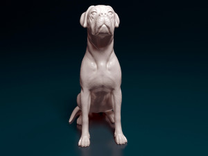 Boxer dog sitting 3D 프린트 모델
