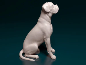 Boxer dog sitting 3D Print Model