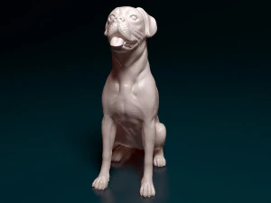 Boxer dog sitting 3D Print Model