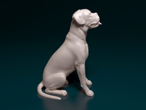 Boxer dog sitting 3D 프린트 모델
