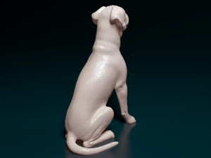 Boxer dog sitting 3D 프린트 모델