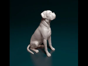 Boxer dog sitting 3D Print Model