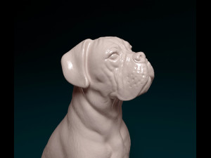 Boxer dog sitting 3D 프린트 모델