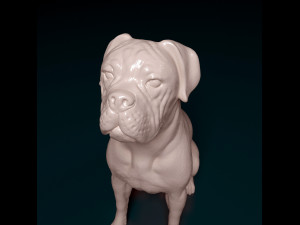 Boxer dog sitting 3D 프린트 모델