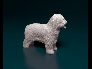 Briard dog 3D Print Model