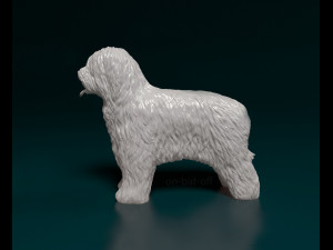 Briard dog Modello di stampa 3D