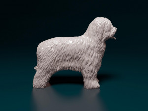 Briard dog Modello di stampa 3D