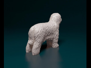 Briard dog Modello di stampa 3D