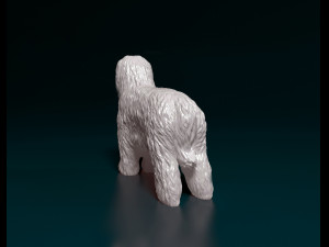 Briard dog Modello di stampa 3D