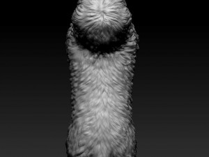 Briard dog Modello di stampa 3D