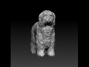 Briard dog Modello di stampa 3D