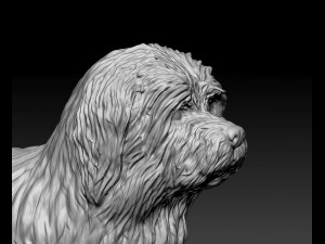 Briard dog Modello di stampa 3D