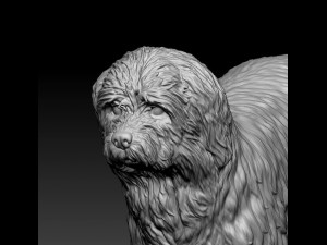 Briard dog Modello di stampa 3D