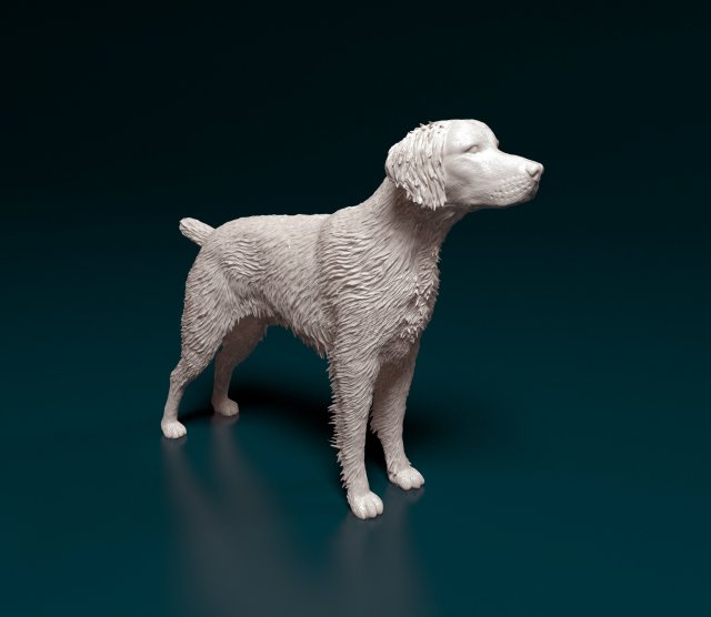 Brittany 3D 打印模型 .c4d .max .obj .3ds .fbx .stl .blend 