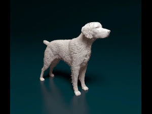 Brittany 3D Print Model