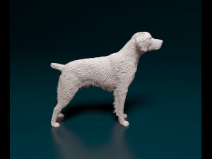Brittany 3D 打印模型