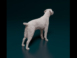 Brittany 3D 打印模型