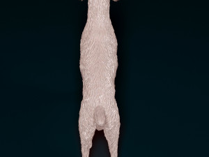 Brittany 3D 打印模型
