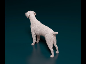 Brittany 3D 打印模型