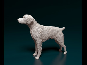 Brittany 3D 打印模型