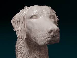 Brittany 3D 打印模型