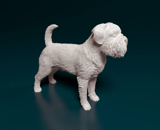 Brussels Griffon Modelo de Impressão 3D .c4d .max .obj .3ds .fbx .stl .blend 