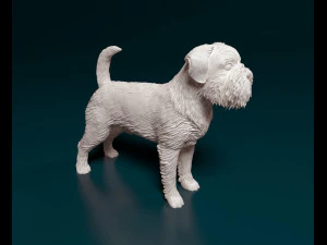 Brussels Griffon 3D Print Model