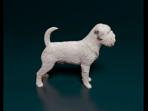 Brussels Griffon 3D Print Model