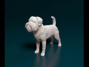 Brussels Griffon 3D Print Model
