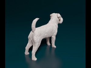 Brussels Griffon Modelo de Impressão 3D